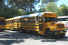 100-0064SFschoolbus.jpg (36187 bytes)